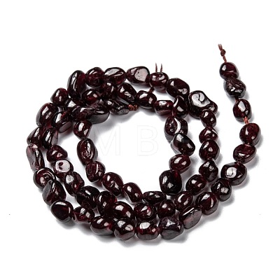Natural Garnet Beads Strands G-G018-22-1