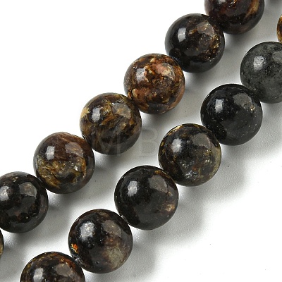 Natural Phlogopite Beads Strands G-P546-A01-04-1