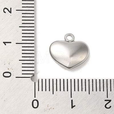 304 Stainless Steel Charms STAS-L022-278P-1