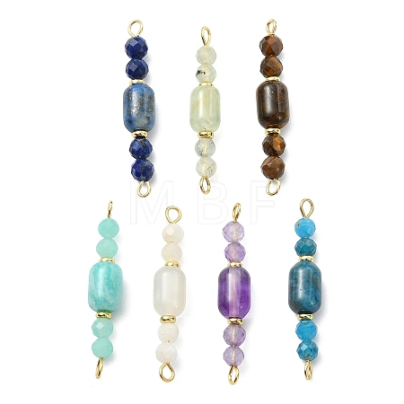 Natural Mixed Gemstone Beaded Connector Charms PALLOY-JF05822-1
