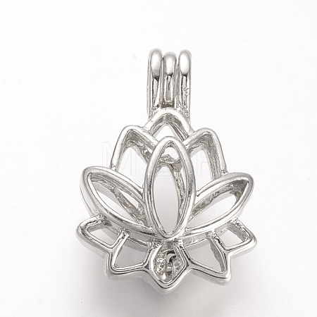 Alloy Locket Pendants X-PALLOY-S062-40P-1