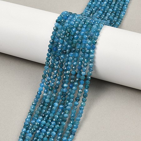 Natural Apatite Beads Strands X-G-E411-36-3mm-01-1