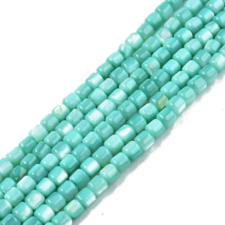 Natural Freshwater Shell Beads Strands SHEL-N003-33-A04-1
