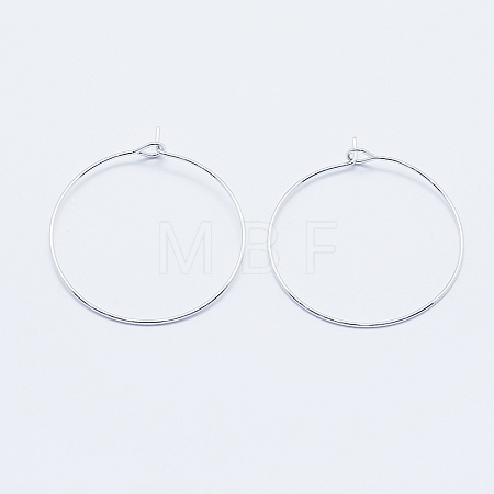 Long-Lasting Plated Brass Hoop Earrings Findings KK-K204-179P-NF-1