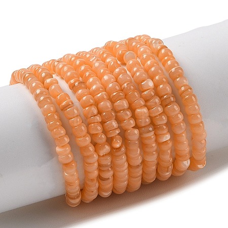 Natural Freshwater Shell Beads Strands SHEL-P017-01B-05-1