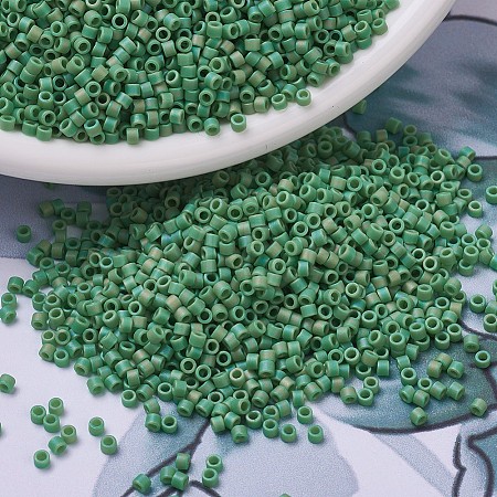 MIYUKI Delica Beads SEED-MY11-DB0877-1