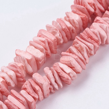 Natural Sea Shell Beads Strands BSHE-K012-08D-1