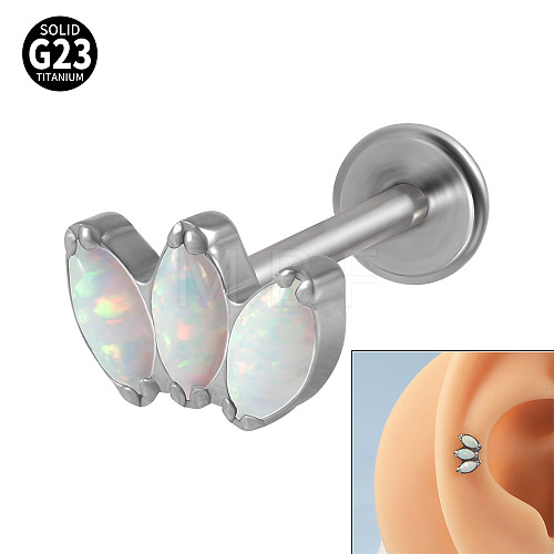 G23 Titanium Cartilage Earrings WGC4C46-01-1