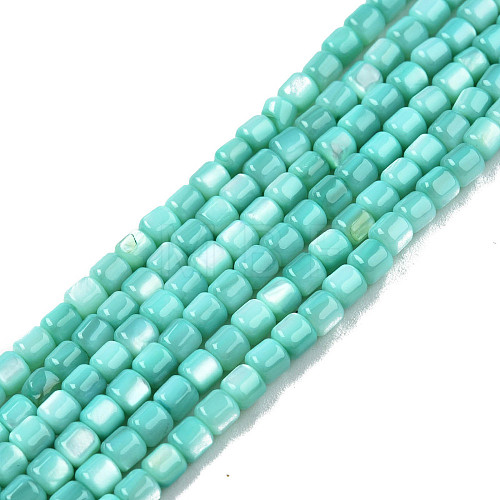 Natural Freshwater Shell Beads Strands SHEL-N003-33-A04-1