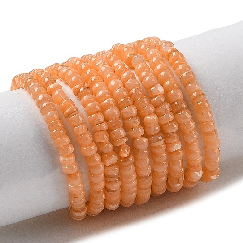 Natural Freshwater Shell Beads Strands SHEL-P017-01B-05-1