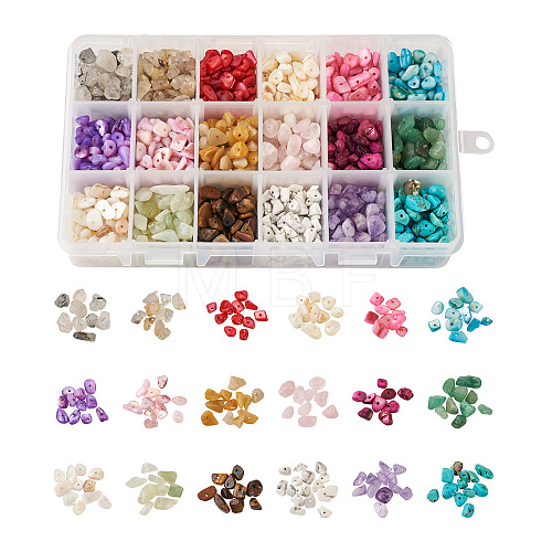 Cheriswelry 360g 18 Colors Freshwater Shell & Gemstone Chip Bead Sets G-CW0001-01-1