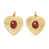 Natural Carnelian Pendants GG-CBAD360-13G-02-1