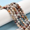 Natural Mexican Agate Bead Strands G-E608-A11-C-4