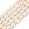 Natural Cultured Freshwater Pearl Beads Strands PEAR-I007-01D-05A-01-2