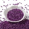 Baking Paint Glass Seed Beads SEED-S042-15A-20-2
