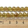 Natural Yellow Apatite Beads Strands G-G927-09A-4