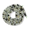 Natural Prehnite Beads Strands G-G139-B05-01-3