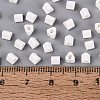 FGB Baking Paint Glass Seed Beads SEED-Q040-09A-01-4