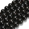 Natural Glaucophane Beads Strands G-L642-B03-12mm-2