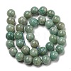 Natural Amazonite Beads Strands G-K068-03-10mm-01-2