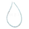 Dyed Natural Freshwater Shell Beads Strands SH-CBA2978-07A-01-3
