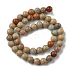 Natural Aqua Terra Jasper Beads Strands G-E444-14B-6mm-2