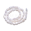 Natural Cultured Freshwater Pearl Beads Strands PEAR-N014-03F-3