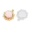 Alloy Resin Pendants RE-CBA4818-04-2