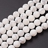 Natural Howlite Beads Strands G-G770-06-1