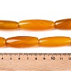 Natural Agate Dyed Beads Strands G-T138-230H-5