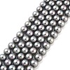 Shell Pearl Bead Strands BSHE-L025-07-8mm-1