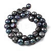 Natural Cultured Freshwater Pearl Beads Strands PEAR-P064-19L-01A-3