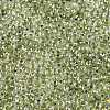 6/0 Transparent Inside Colours Glass Seed Round Beads X1-SEED-N006-004H-3