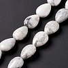 Natural Howlite Beads Strands G-L242-13-6