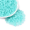FGB Frosted Transparent Glass Seed Beads SEED-N013-05A-10-1