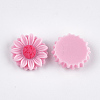 Resin Cabochons CRES-T010-60G-2