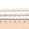 Natural Cultured Freshwater Pearl Beads Strands PEAR-I007-01D-04A-5