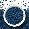 12/0 Grade A Baking Paint Glass Seed Spacer Beads X-SEED-Q009-FJX03-5