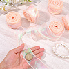 5 Rolls Flat Rainbow Color Organza Ribbon OCOR-CY0003-29B-3
