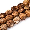 Natural Agate Beads Strands G-T144-63A-01-4