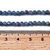 Natural Kyanite Beads Strands G-F799-E01-4mm-5