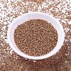 MIYUKI Delica Beads X-SEED-J020-DB1836-2