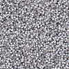 MIYUKI Delica Beads X-SEED-J020-DB0630-4