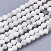 Natural Howlite Beads Strands G-R462-007-1