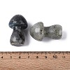 Natural Labradorite Mushroom Display Decorations G-Q602-03F-3