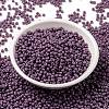 MIYUKI Round Rocailles Beads SEED-JP0009-RR4489-2