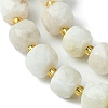 Natural Moonstone Beads Strands G-Q010-A05-01-4
