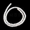 Natural Freshwater Shell Beads Strands SHEL-C010-04B-02-3