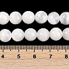 Natural Selenite Beads Strands G-G167-A02-01-5