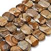 Natural Picture Jasper Beads Strands G-C285-A11-01-2